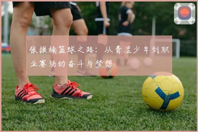 张振楠篮球之路：从青涩少年到职业赛场的奋斗与梦想