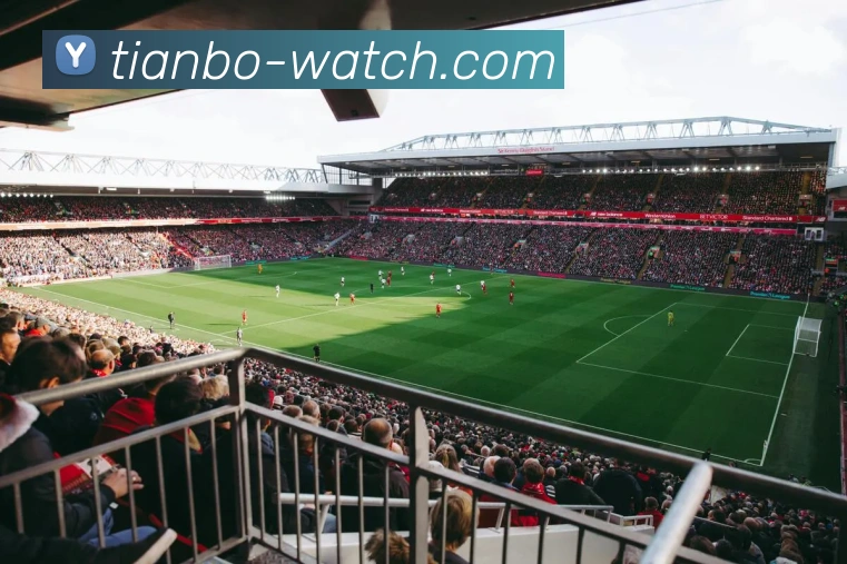 街头篮球贴的魅力与技巧分享，助你在球场上尽显风采与实力